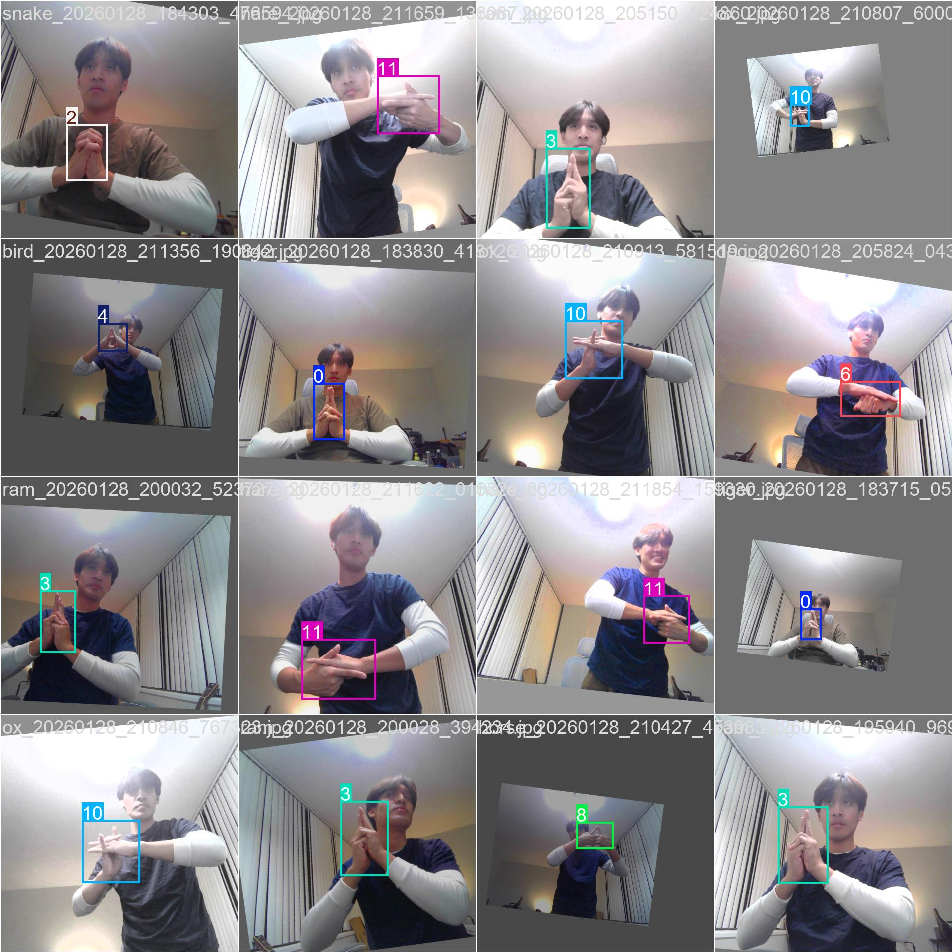 AI Detection Gameplay